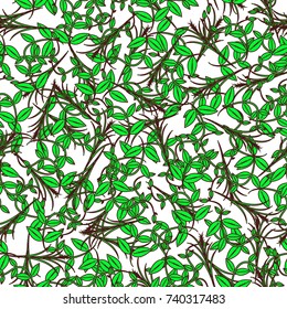 Vector pattern background branches with green leaves on white background.