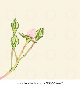 vector pattern of the background delicate flower pink rosebud