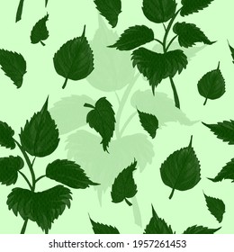 Vector pattern background with leaves. The palette and the backgrounds are soft and the layouts are simplified. The backdrop for greeting cards, posters, banners, and placards.