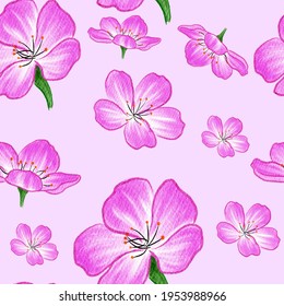 Vector pattern background with pink flowers. The palette and the backgrounds are soft and the layouts are simplified. The backdrop for greeting cards, posters, banners, and placards.