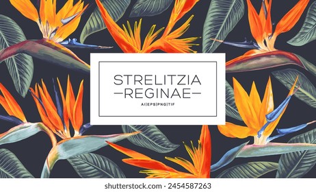 Vector pattern background with place for your text Strelitzia Reginae, tropical flowers and leaves. Realistic style hand drawn tropical background with label. A South African plant called crane flower