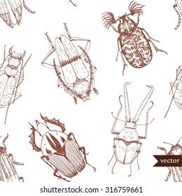 vector pattern beetles  line drawing pen  retro wallpaper