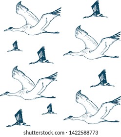 Vector pattern with birds cranes flying in the sky on white background blue birds. Ink pen sketched illustration. Grus bird in sky.