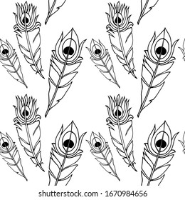 Vector pattern with black peacock feathers