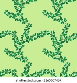 Vector pattern of bright floral ornaments in green colors. Pattern for printing on fabric. Pattern with ivy.