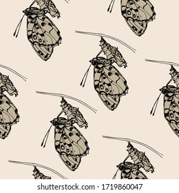 Vector pattern butterfly.Insect illustration in free sketch style.The doll turned into a butterfly, metamorphosis. 