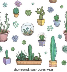 Vector pattern of cacti and succulents. Color sketches on white background