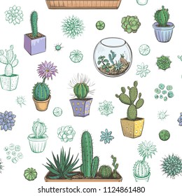 Vector pattern of cacti and succulents. Color sketches on white background