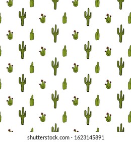 Vector pattern of cactus, aloe and leaves. Patterns collection of exotic plants. Decorative natural elements are isolated on white. Cactus with flowers.