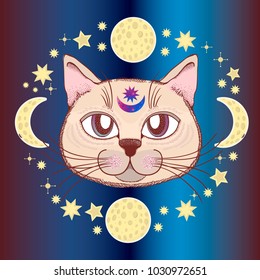 Vector pattern with a cat, moon, stars. Magical and fairy. Suitable for postcards, printing, posters, textiles Cartoon style