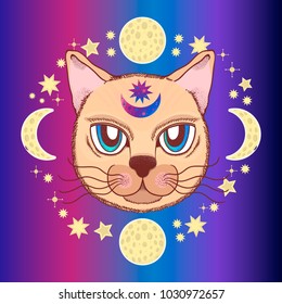 Vector pattern with a cat, moon, stars. Magical and fairy. Suitable for postcards, printing, posters, textiles Cartoon style