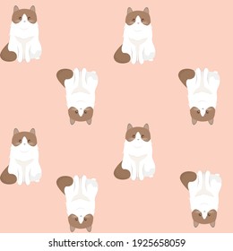 vector pattern with cats. flat pattern image with kittens