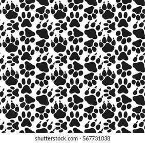 vector pattern in the cat's paw