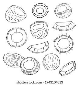 Vector pattern with coconut halves on a white background.