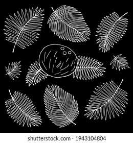 Vector pattern with coconut and palm leaves on a black background.