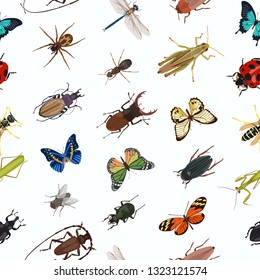 Vector pattern with color beetles, butterflies, dragonflies and grasshoppers, praying mantis, wasp and fly, spider on white background. Suitable for wallpapers, backgrounds, for decoration and textile