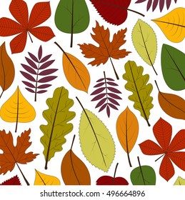 vector pattern of colorful autumn leaves on a white background