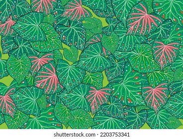 Vector pattern with compositions of caladium plants