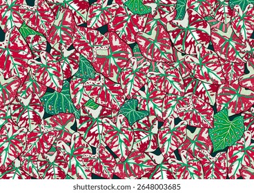 Vector pattern with compositions of red caladium plants