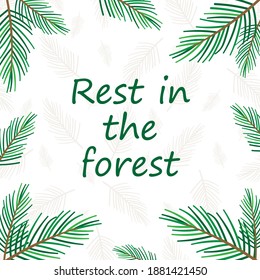 Vector pattern of coniferous branches. Christmas needles, forest, background, relaxation. Rest in the forest. For print, postcards, social media, textiles and fabrics.