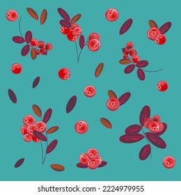 Vector pattern with cranberry on turquoise 