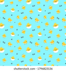 Vector pattern with cute chicks, and its footprint. Cute chick background. White background Fashion pattern for print, wrapping paper
