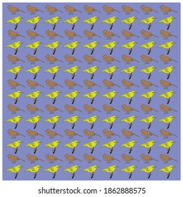 vector pattern design texture background