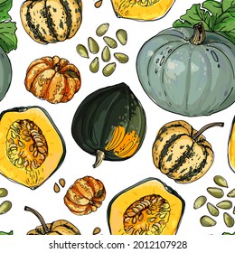 Vector pattern from different pumpkins. Colored sketch of food. Farm vegetables