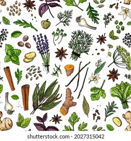 Vector pattern from different spices, cereals and beans. Colored sketch of food. Farm spices and seasonings