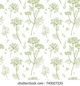 vector pattern of dill, sulfur root sketch, fennel  linear illustrations 