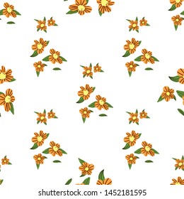 Vector pattern elementary usual fantasy flowers Colorful paisley wallpaper. Print design vector illustration.