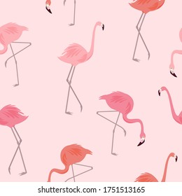 Vector pattern with flamingo. Beautiful seamless texture.