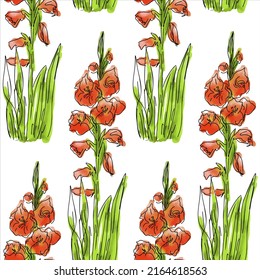 Vector pattern of flowers on white background (Gladiolus).