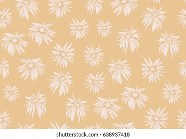 Vector pattern of flowers of rudbeckia on light background