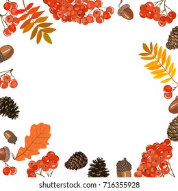 Vector pattern frame autumn leaves, rowan berries, oak and cone