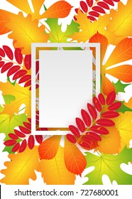 vector, pattern, frame with autumn leaves for greetings, invitations, cards, price tags