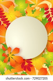vector, pattern, frame with autumn leaves for greetings, invitations, cards, price tags