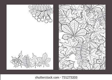vector, pattern, frame with autumn leaves for greetings, invitations, cards, price tags