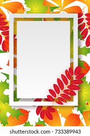 vector, pattern, frame with autumn leaves for greetings, invitations, cards, price tags