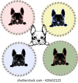 Vector pattern with French Bulldog. Hand drawing illustration. Logo and tags design.