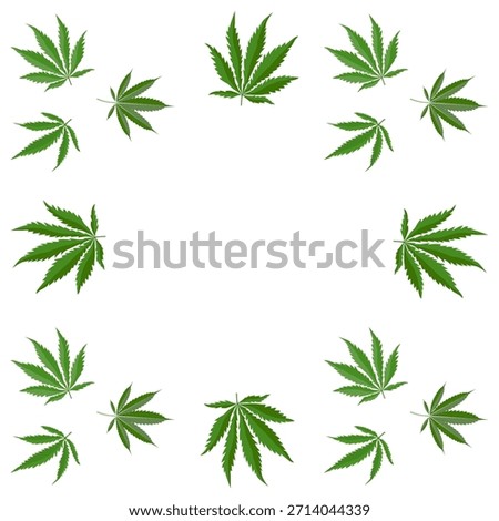 Vector pattern with green cannabis leaves arranged in a circular composition on a white background, suitable for medical cannabis, cbd branding, packaging, labels and wellness design.