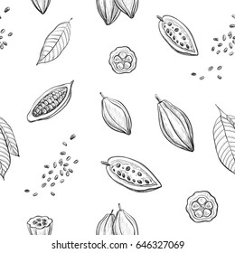 Vector pattern hand drawing of cocoa. Sketch cocoa fruit and leaves on white background