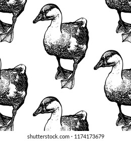 Vector pattern with hand drawn illustration of goose isolated. Template for card, poster, banner, print for t-shirt, pin, badge, patch.