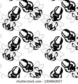 Vector pattern with hand drawn illustration of beetle with wings isolated. Creative tattoo artwork. Template for card, poster. banner, print for t-shirt, pin, badge, patch.