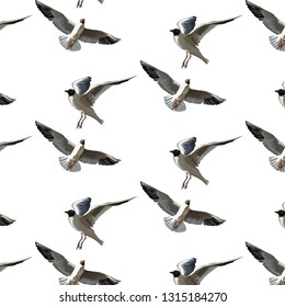 Vector pattern with hand drawn illustration of seagulls isolated. Creative artwork. Template for card, poster. banner, print for t-shirt, pin, badge, patch.