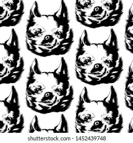 Vector pattern with hand drawn illustration of chihuahua isolated. Template for card, poster. banner, print for t-shirt, pin, badge, patch.