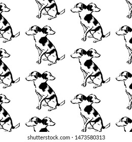 Vector pattern with hand drawn illustration of dog isolated. Template for card, poster. banner, print for t-shirt, pin, badge, patch.