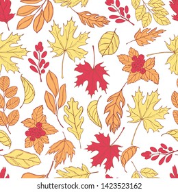 Vector pattern with hand-drawn autumn leaves. Vector  illustration. 