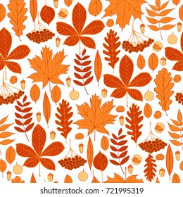 Vector pattern with hand-drawn autumn leaves. Vector  illustration. 