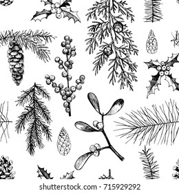 Vector pattern with hand-drawn Christmas plants .  